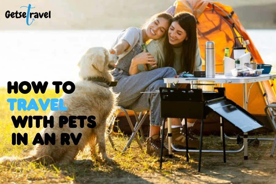 How to Travel with Pets in an RV: A Comprehensive Guide 2024